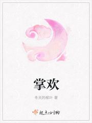 掌欢讲的什么 掌欢讲的什么