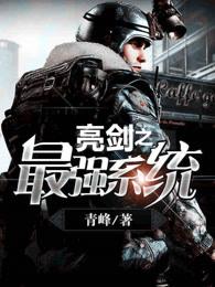 亮剑之武器系统 亮剑之武器系统
