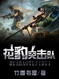 花豹突击队免费阅读全文原文 花豹突击队免费阅读全文原文
