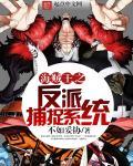 捕捉系统 捕捉系统