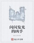 闪闪发光是谁 闪闪发光是谁