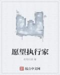 愿望计划 愿望计划