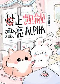 禁止觊觎漂亮小猫咪 禁止觊觎漂亮小猫咪