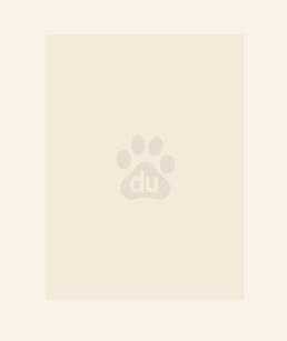 有几个未婚妻的都市