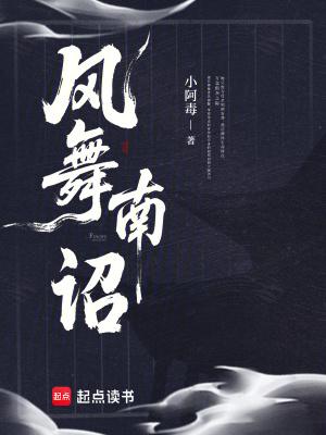 风起南诏攻略全集 风起南诏攻略全集