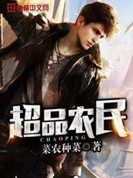 超品农民TXT 超品农民TXT