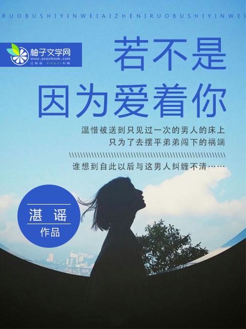 若不是因为爱着你歌词 若不是因为爱着你歌词