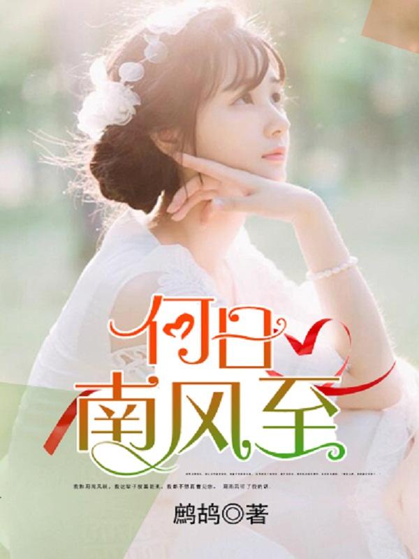 风何日丽 风何日丽