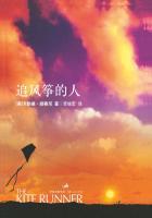追风筝的人是男男吗 追风筝的人是男男吗