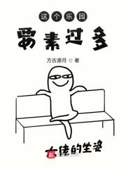 这个乐园给我带来了什么样的快乐 这个乐园给我带来了什么样的快乐