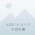 成了八爷 成了八爷