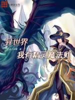 异世界,我有精灵魔法师 异世界,我有精灵魔法师