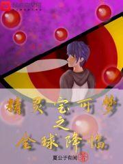 精灵宝可梦之全球降临 精灵宝可梦之全球降临
