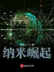 纳米崛起 纳米崛起