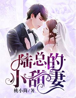 陆总的小甜妻 陆总的小甜妻