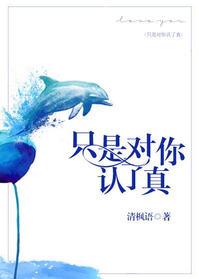 只是对你认了真 只是对你认了真