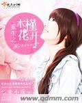 重生之木槿花开 重生之木槿花开