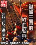 纵横三国的铁血骑兵 纵横三国的铁血骑兵
