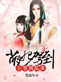 萌妃驾到:王爷别乱来 萌妃驾到:王爷别乱来