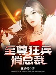 至尊狂兵俏总裁 至尊狂兵俏总裁