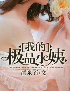 我的极品小姨 我的极品小姨