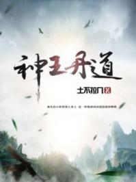 神王丹道 神王丹道