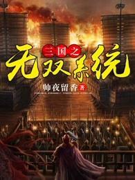 三国之无双系统 三国之无双系统