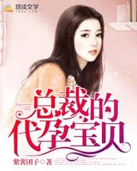 总裁的代孕宝贝 总裁的代孕宝贝