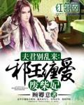 邪王缠上废柴妃 邪王缠上废柴妃