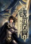 魂武风暴 魂武风暴