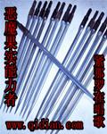 恶魔果实能力者 恶魔果实能力者