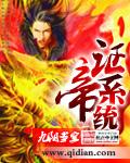 证帝系统 证帝系统