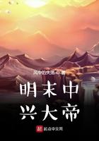 明末中兴大帝 明末中兴大帝