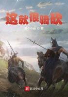 这就很骑砍 这就很骑砍