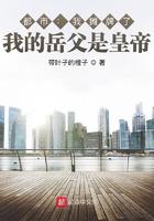 大明:我摊牌了,我的岳父是皇帝 大明:我摊牌了,我的岳父是皇帝