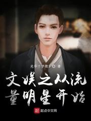 文娱之从流量明星开始 文娱之从流量明星开始