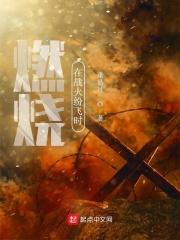 战火燃烧的声音 战火燃烧的声音
