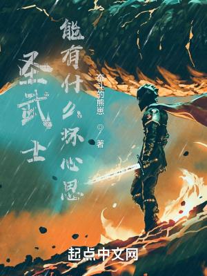 圣武士build 圣武士build
