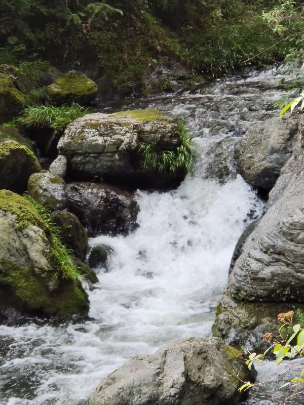 九歌一梦起湘江 九歌一梦起湘江