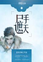 只手遮天的 只手遮天的