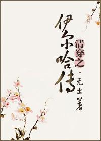 清穿之伊尔迷 清穿之伊尔迷