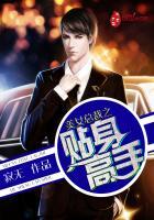 美女总裁之贴身高手免费阅读 美女总裁之贴身高手免费阅读