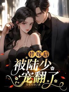替嫁暖婚陆少 替嫁暖婚陆少