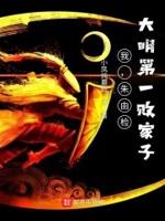 穿越成大明朱由检 穿越成大明朱由检