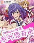 秋叶原之旅 攻略 秋叶原之旅 攻略