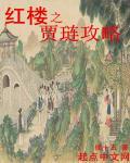 红楼贾琏攻略 红楼贾琏攻略