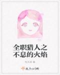 全职猎人永不完结 全职猎人永不完结