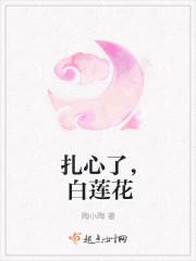 白莲花圣母心 白莲花圣母心
