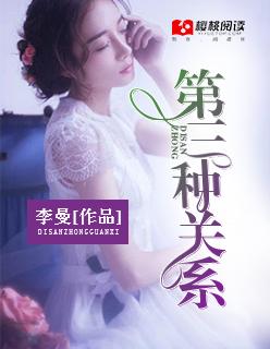 第三种关系李曼免费阅读 第三种关系李曼免费阅读