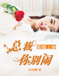 惹爱上身总裁你别闹 惹爱上身总裁你别闹